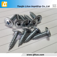 Tornillo autorroscante de la cabeza Phillips del truss con cinc plateado